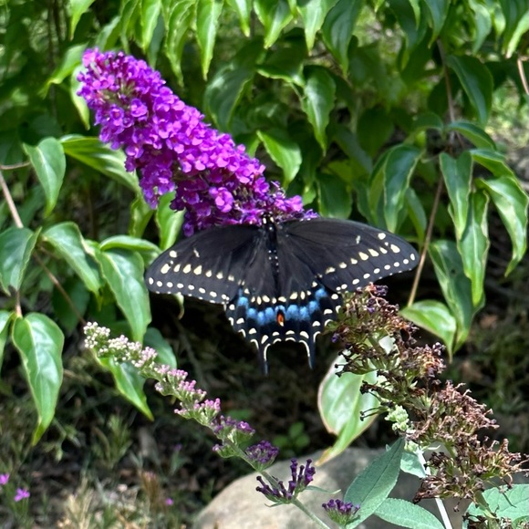 Welcome To My Closet - Picture 13 of 16